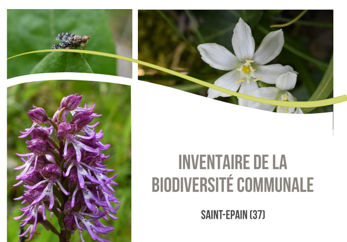 Inventaire de la Biodiversité à SAINT-EPAIN